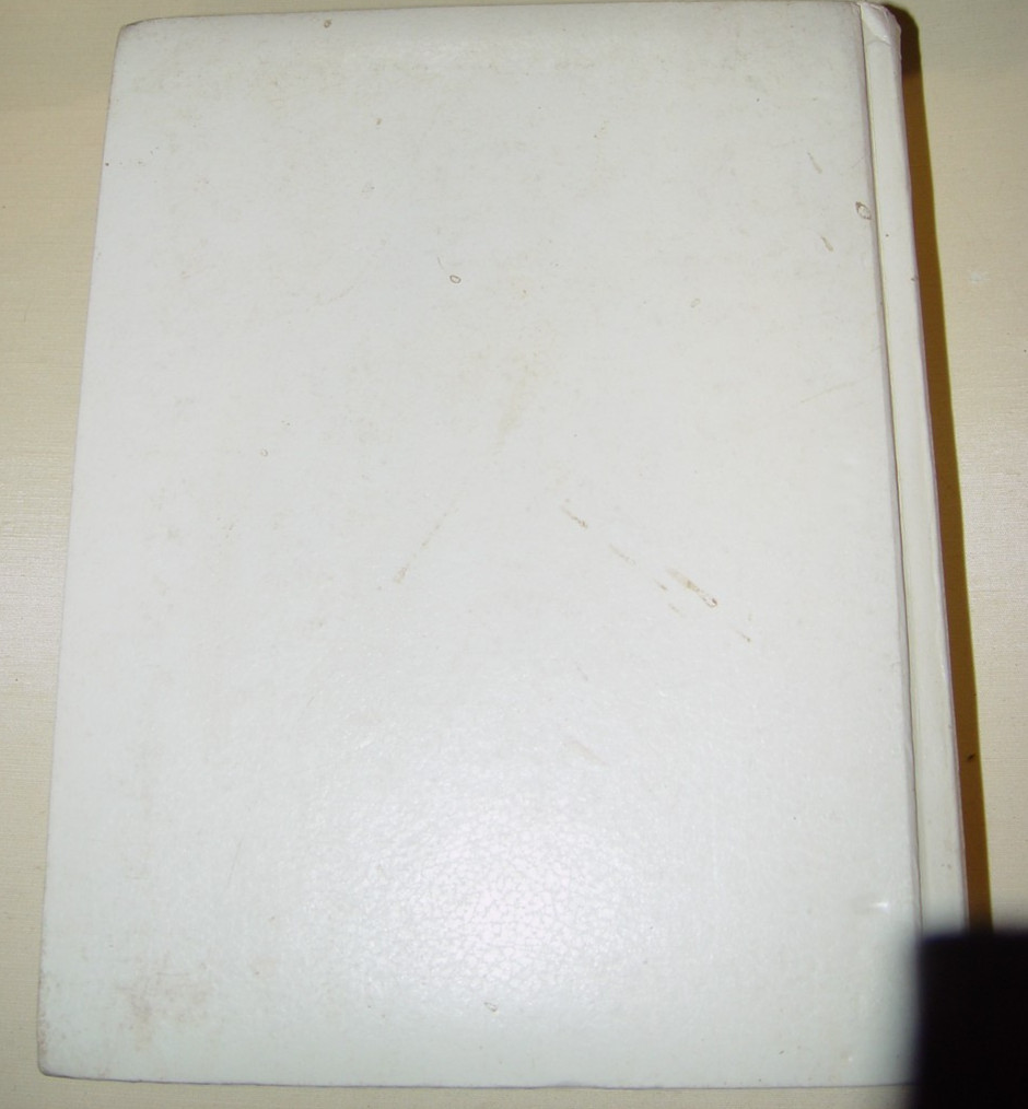 Large Holy Bible C.S.S. Edition With full-Color Illustrations of the Old Masters