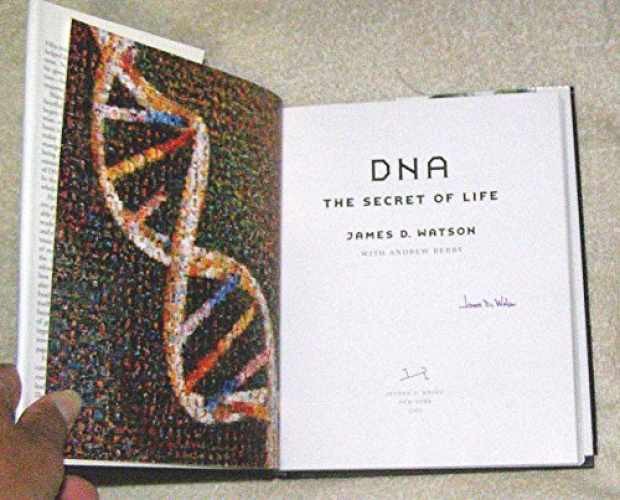 DNA: The Secret of Life – Hardcover, by Watson James D.; Berry – Very Good