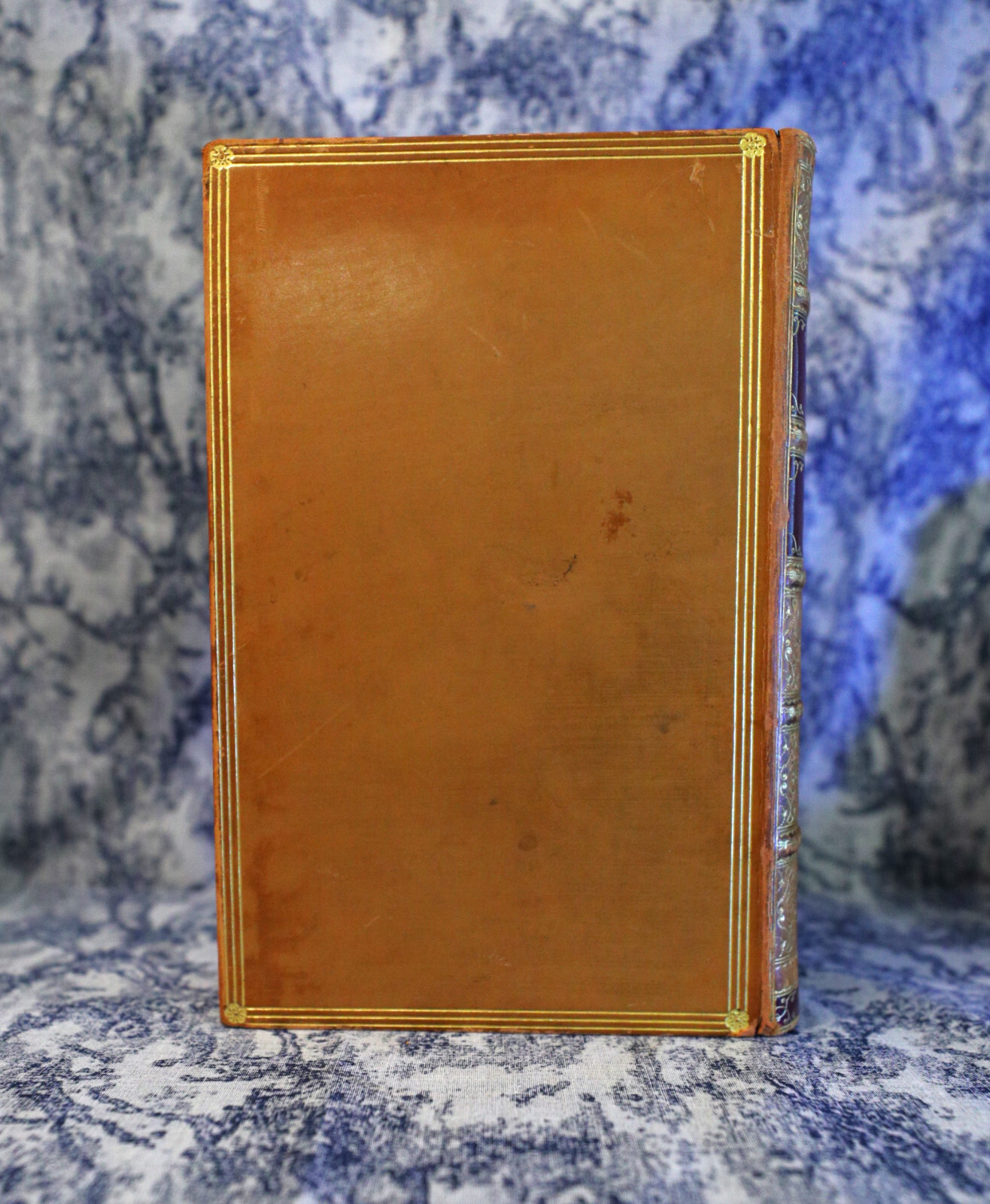 [Sh12] Fine Binding Zaehnsdorf, 1848, Adventures of Oliver Goldsmith, J Forster