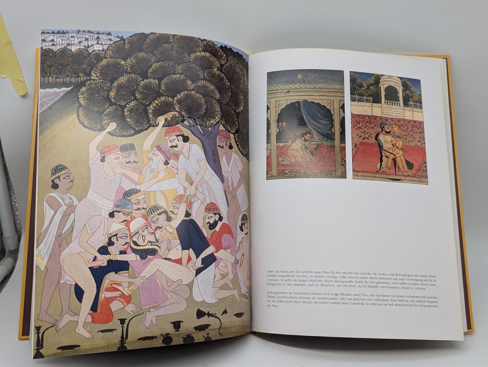 Das Kamasutra des Vatsyayana gebunden sehr guter Zustand