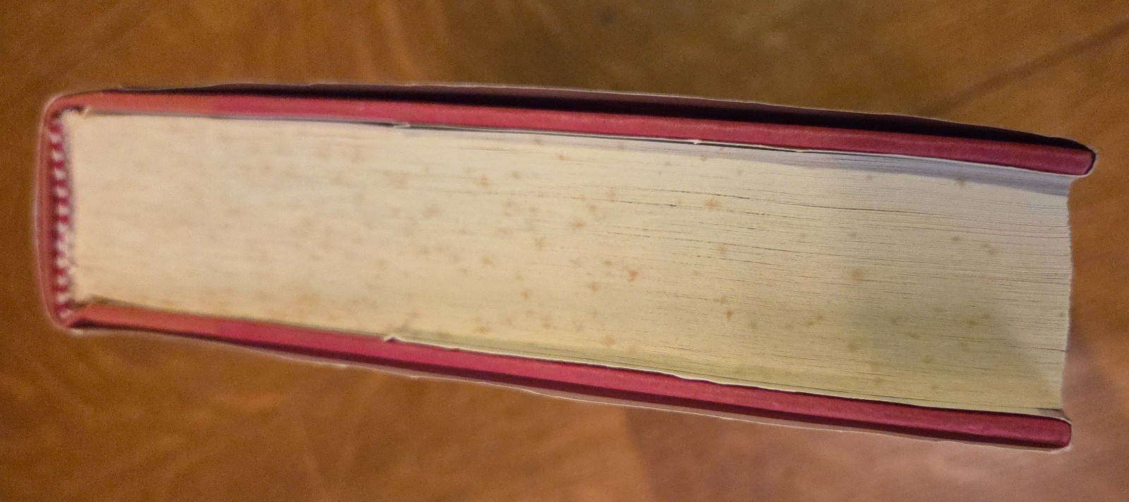 Amazons by Cleo Birdwell (Don DeLillo) 1980 Hardcover Edition + Review, US story
