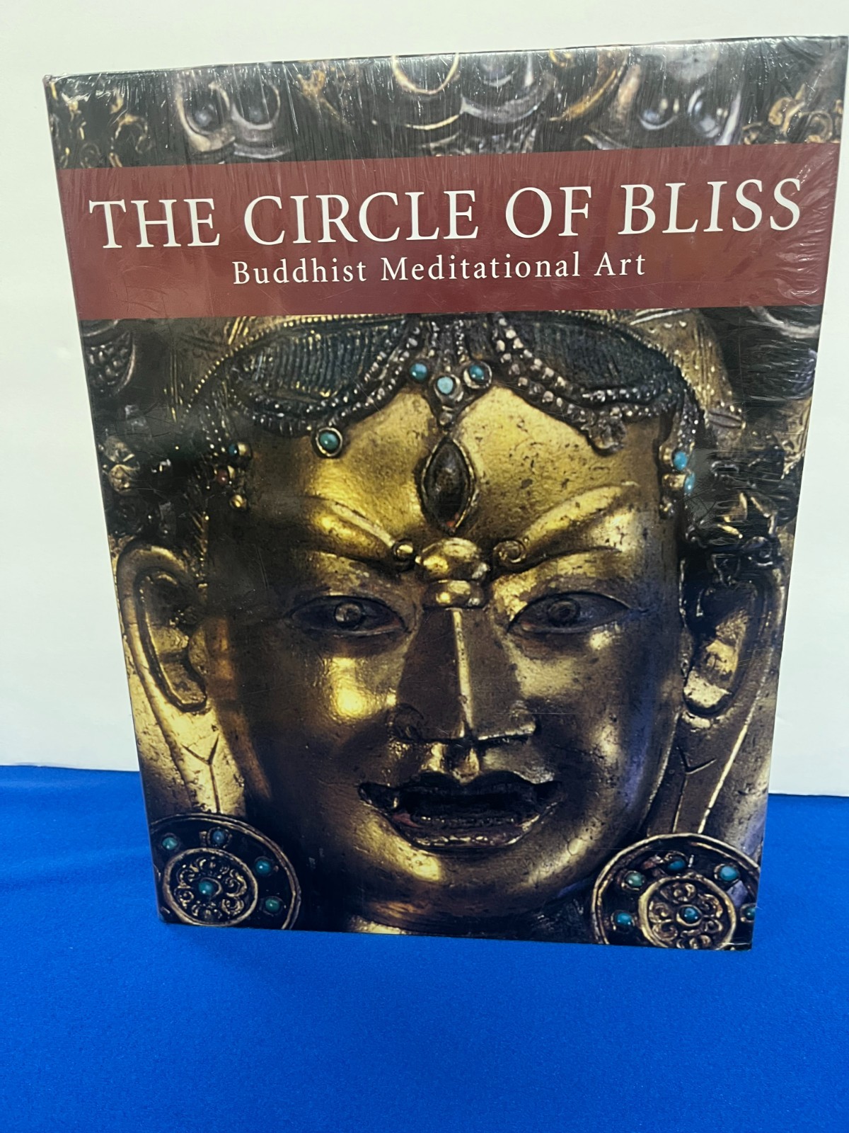 Circle of Bliss Buddhist Meditational Art 1st Edition Hardcover Book DS43