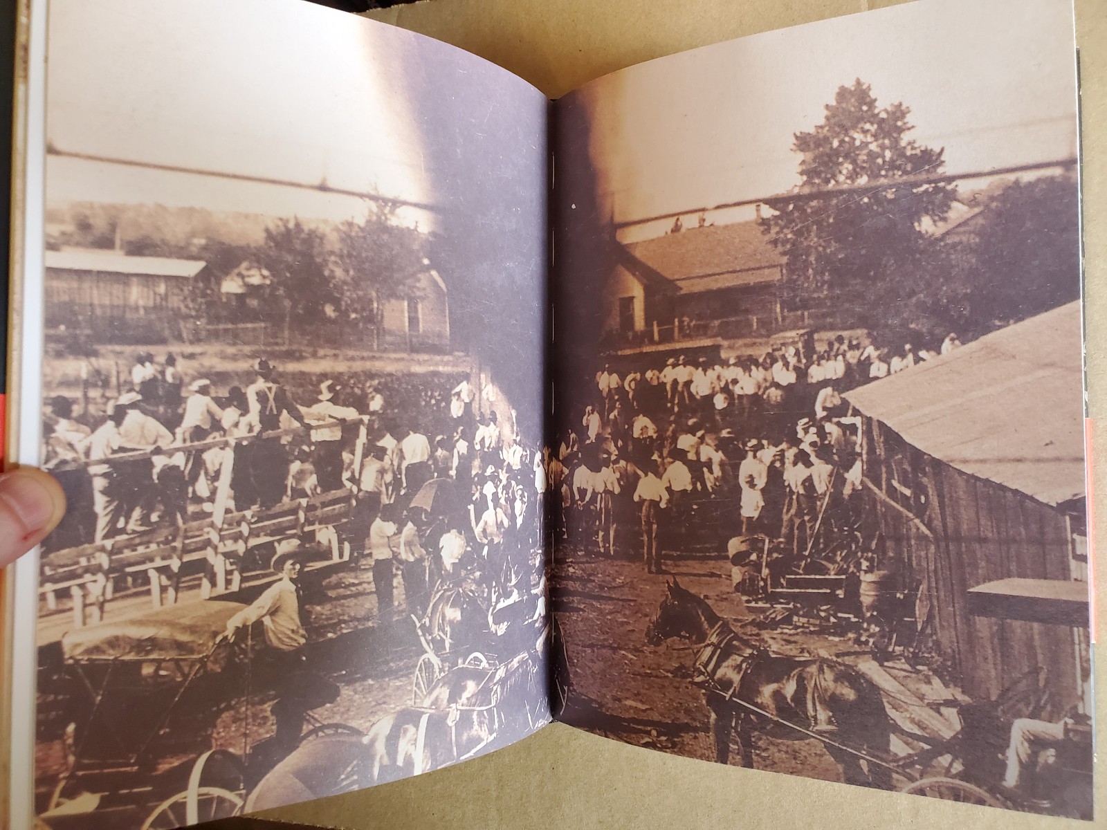 Without Sanctuary: Lynching Photography in America – James Allen – 2005, HCDJ