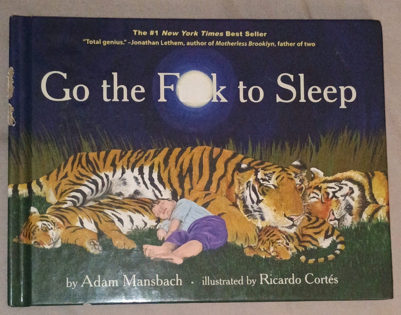 Go the F–k to Sleep by Adam Mansbach, Ricardo Cortés, Hardcover 2011