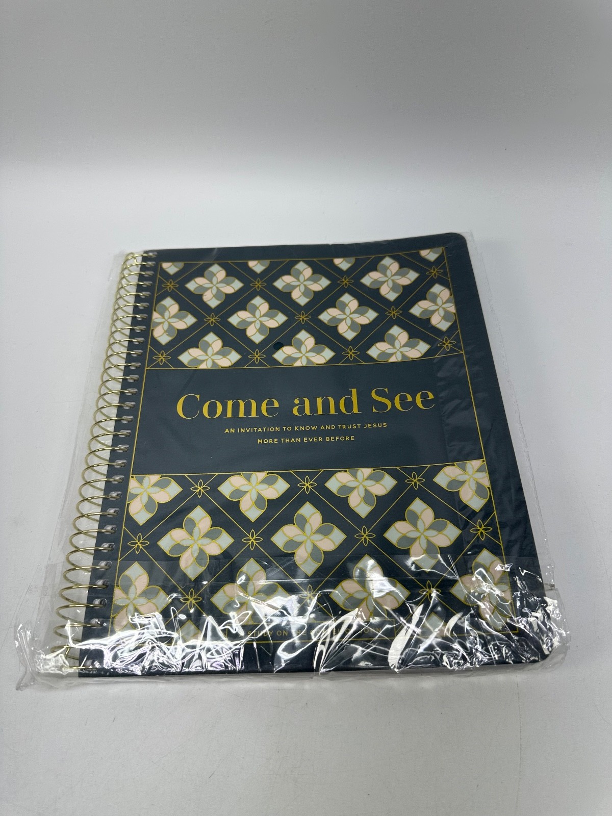 Come and See | Bible Study on John