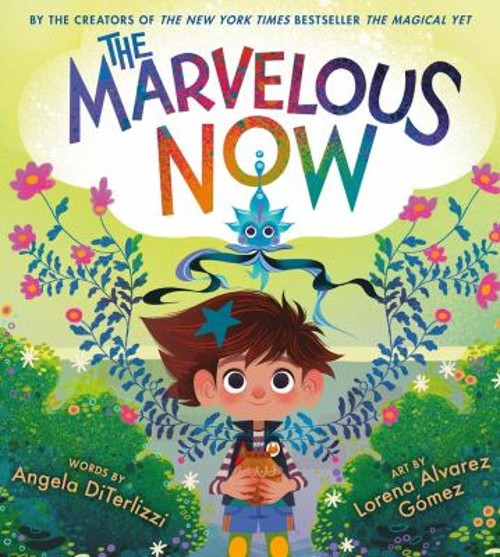 The Marvelous Now Hardcover Angela DiTerlizzi