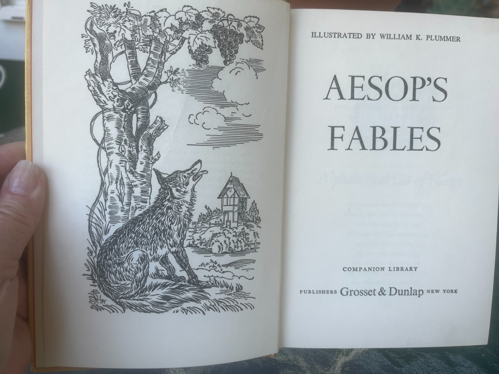 Companion Library Illustrated – AESOP’S FABLES & ARABIAN NIGHTS – 1963