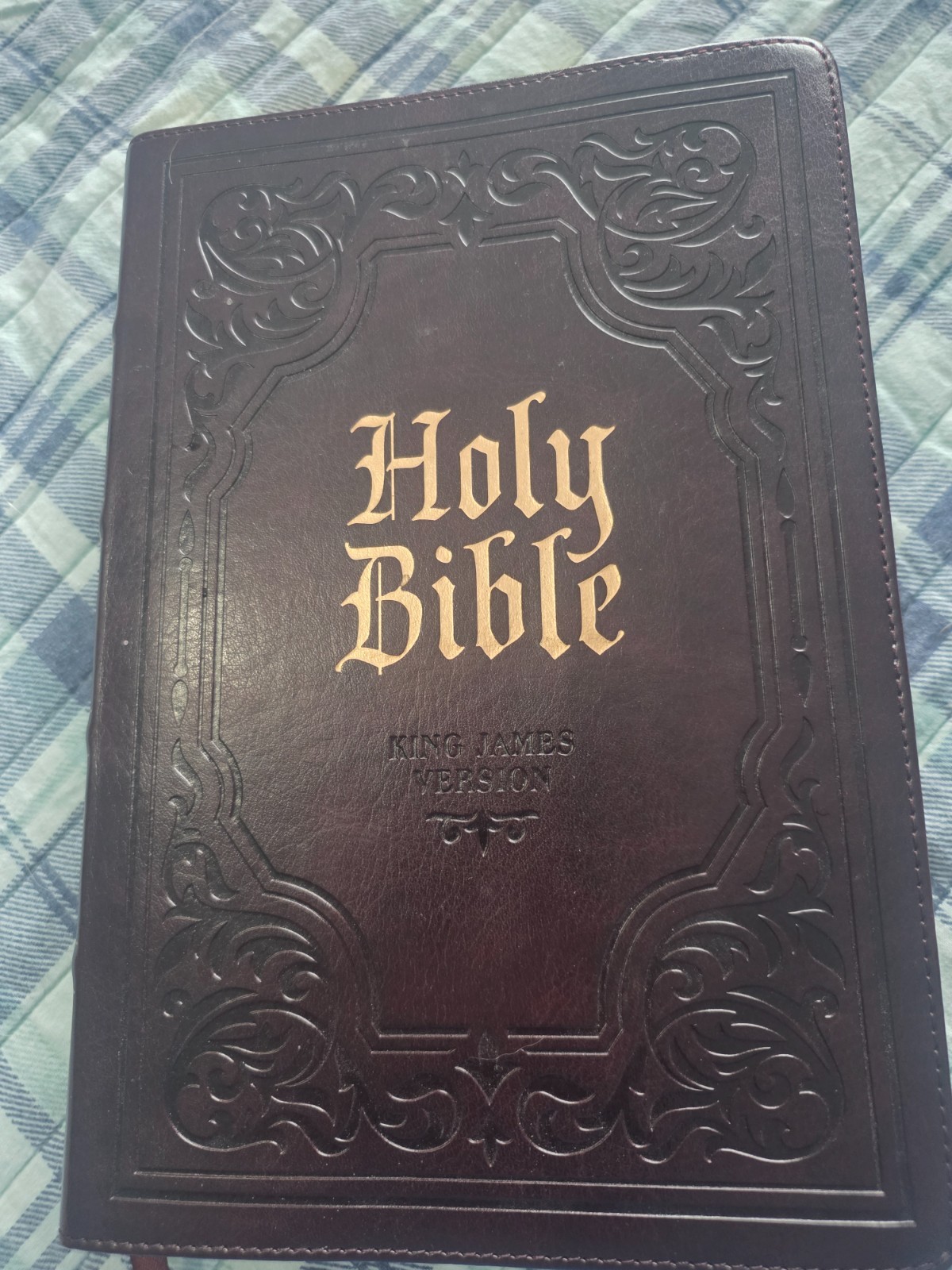 KJV Study Bible, Large Print King James Version Holy Bible, Thumb Tabs, Ribbons,
