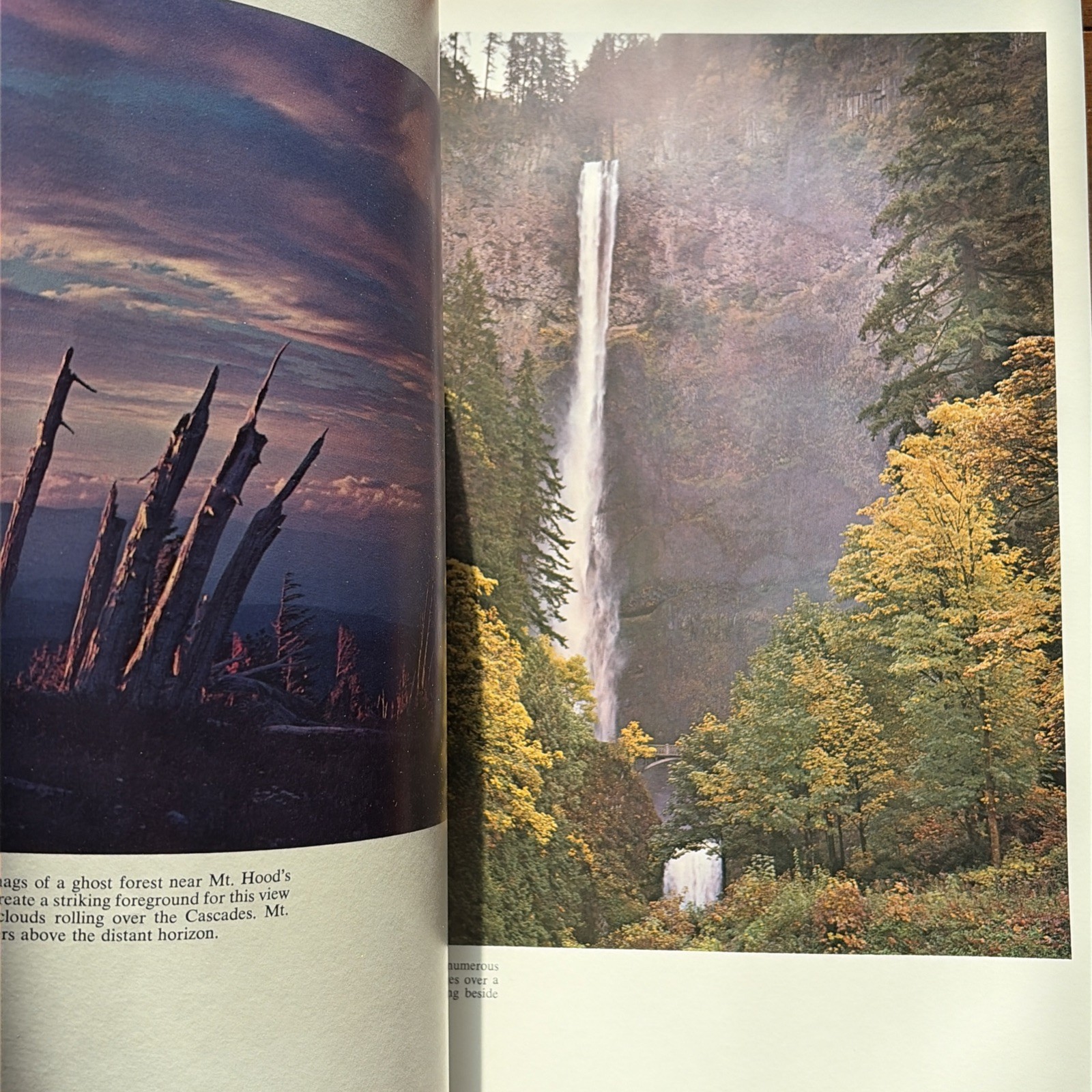 The Cascade Range by Ray Atkeson, 1969