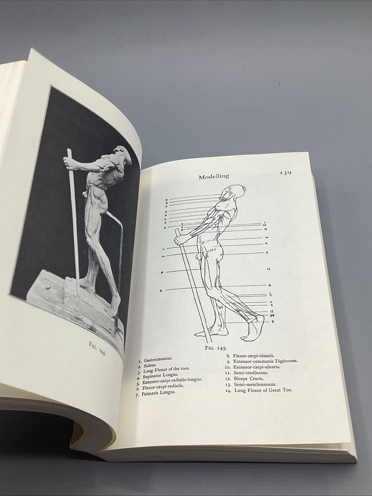 Modelling and Sculpting the Human Figure, Edouard Lanteri 309 Illustrations