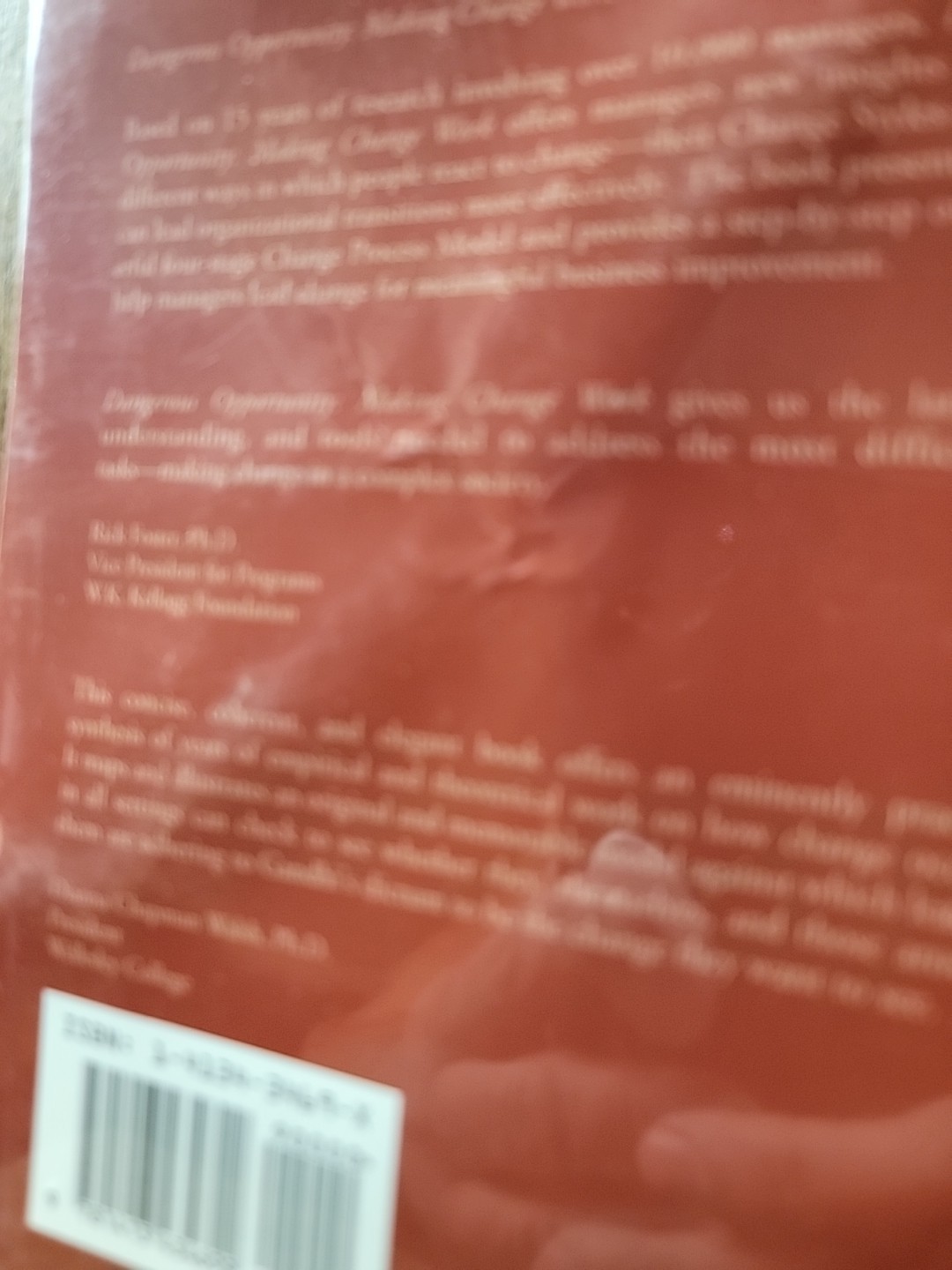Dangerous Opportunity: Making Change Work by Chris Musselwhite Mba (2004, Trade