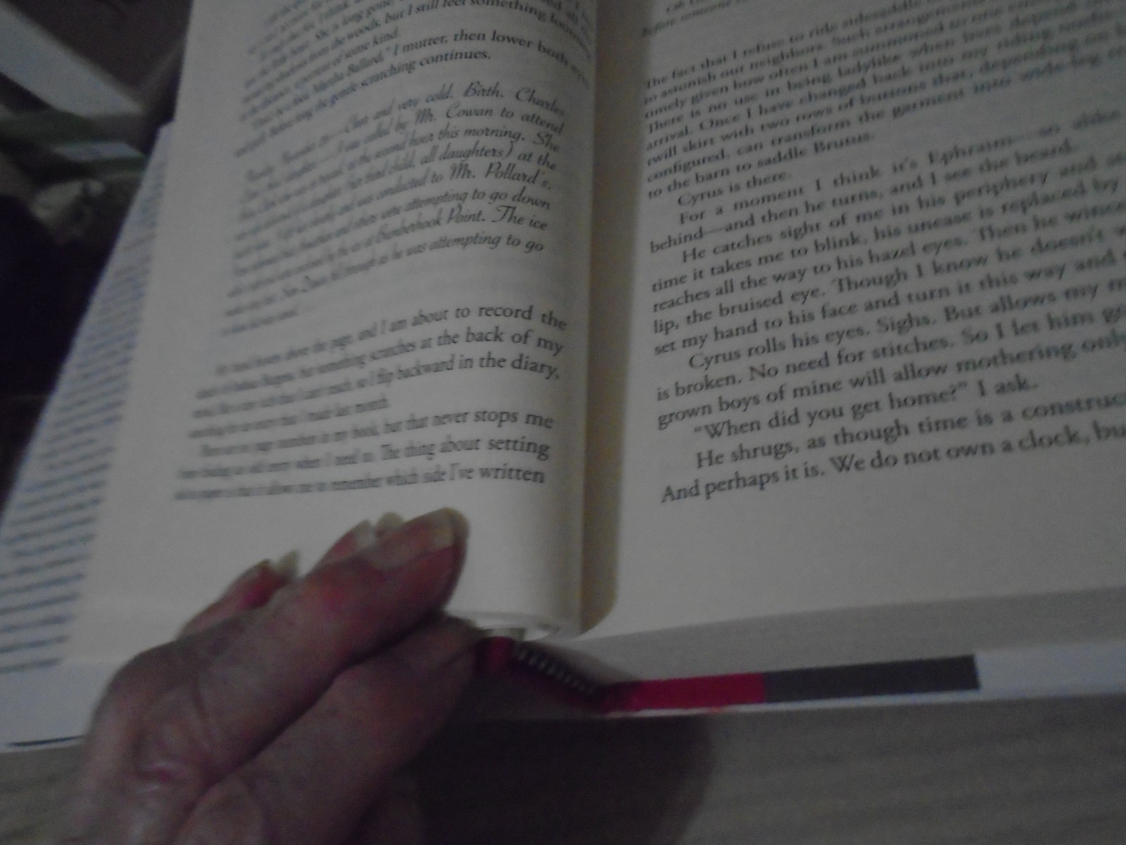 “The Frozen River” Ariel Lawhon Hardbook, great condition, jacket.