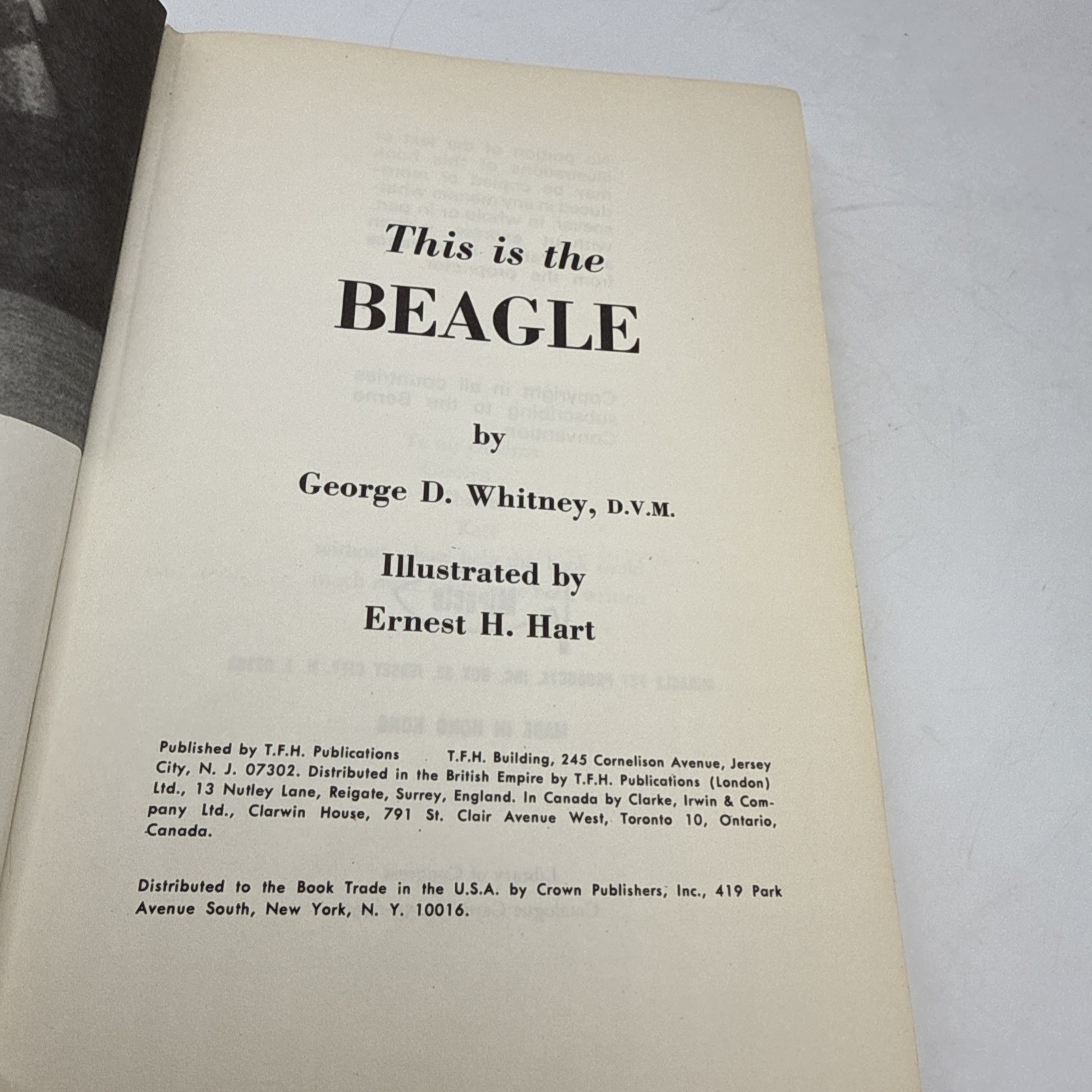 This Is The Beagle By George D. Whitney DVM 1955 Hardback 252 Pages