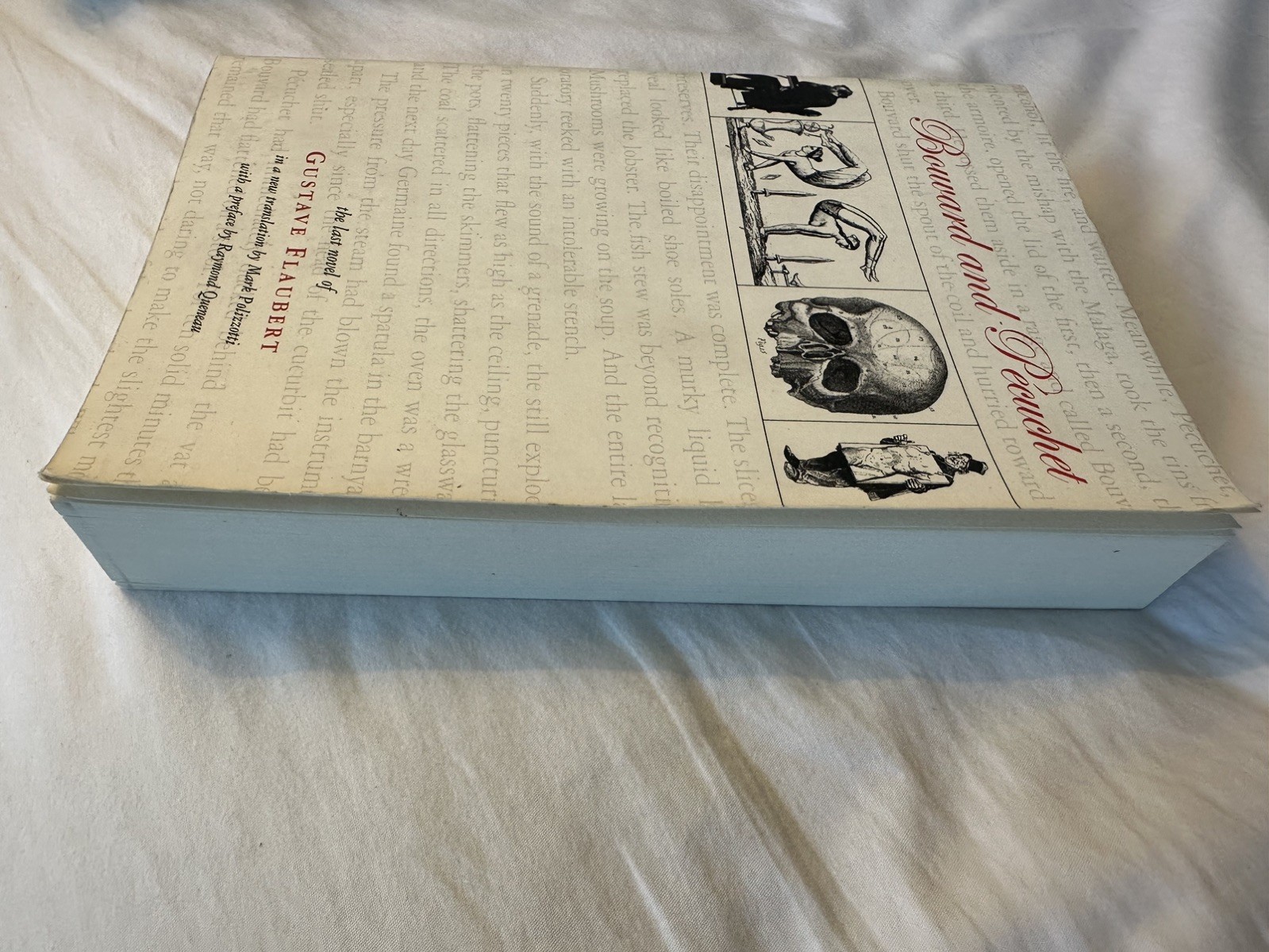 Bouvard and Pecuchet by Gustave Flaubert Paperback Dalkey Archive Press