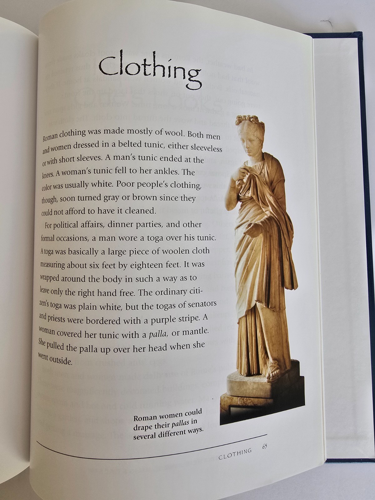Julius Caesar and the Roman Republic by Greenblatt, Miriam Homeschool Studies