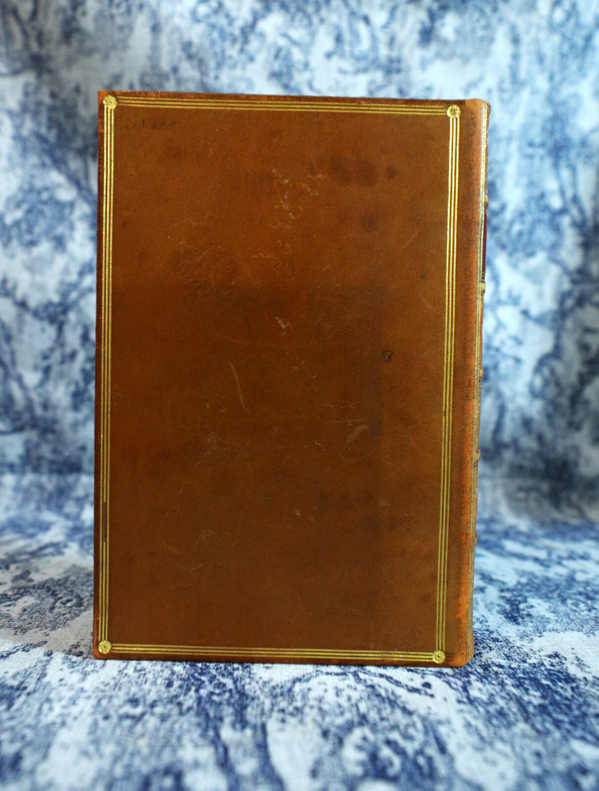 [Sh12] Fine Binding Leather, Thomas Nelson Pub. Dog Crusoe by RM Ballantyne