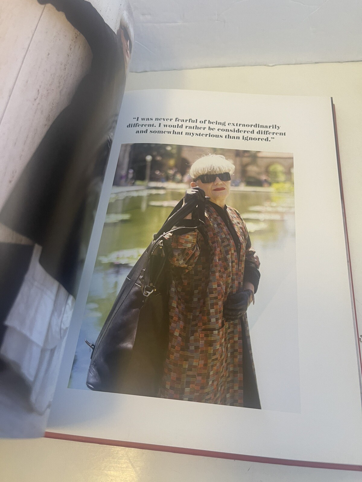 Advanced Style by Ari Seth Cohen (2012, Hardcover First Edition)