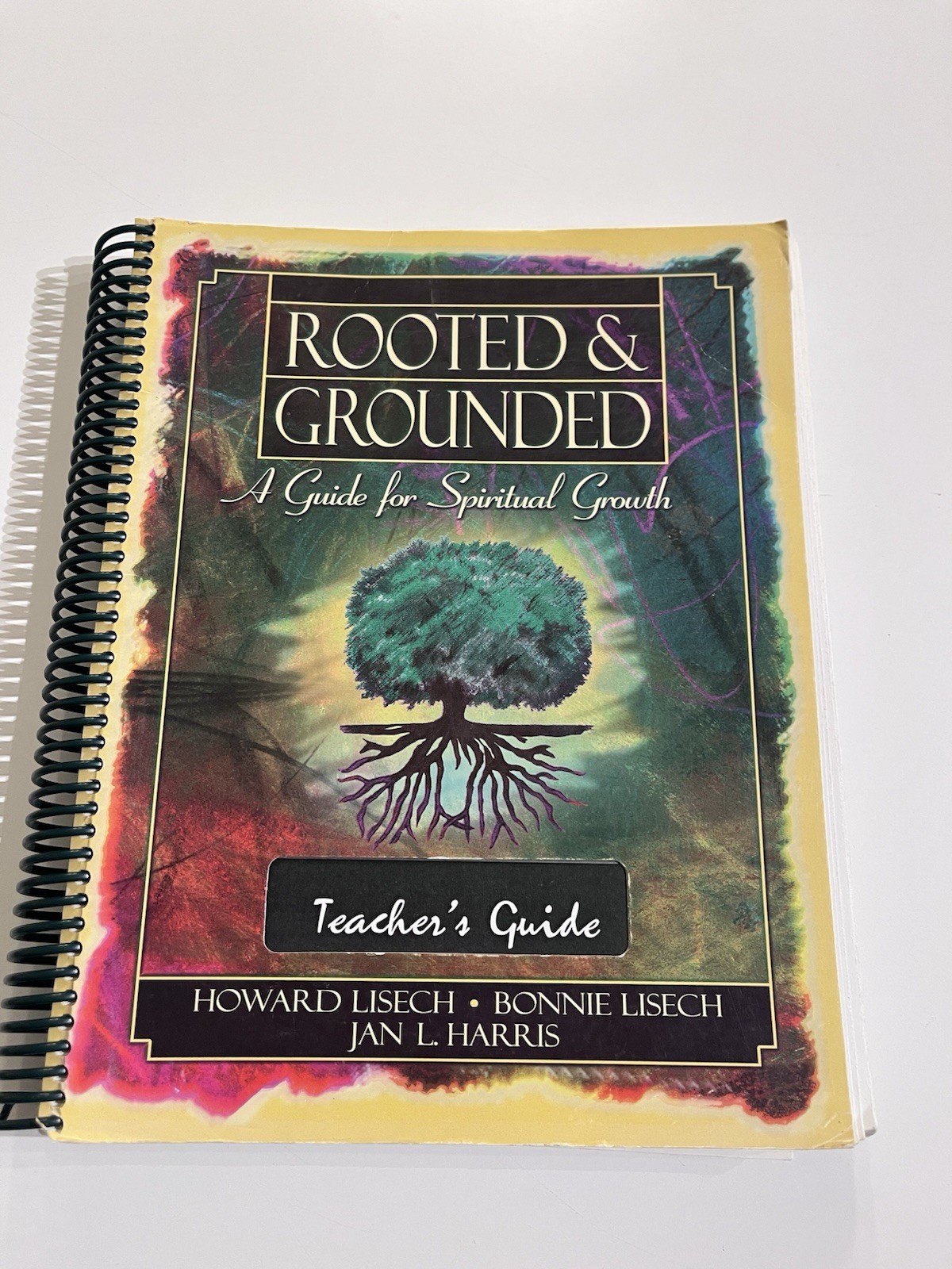 Rooted & Grounded: Guide for Spiritual Growth Teacher’s Guide Spiral Bound YA