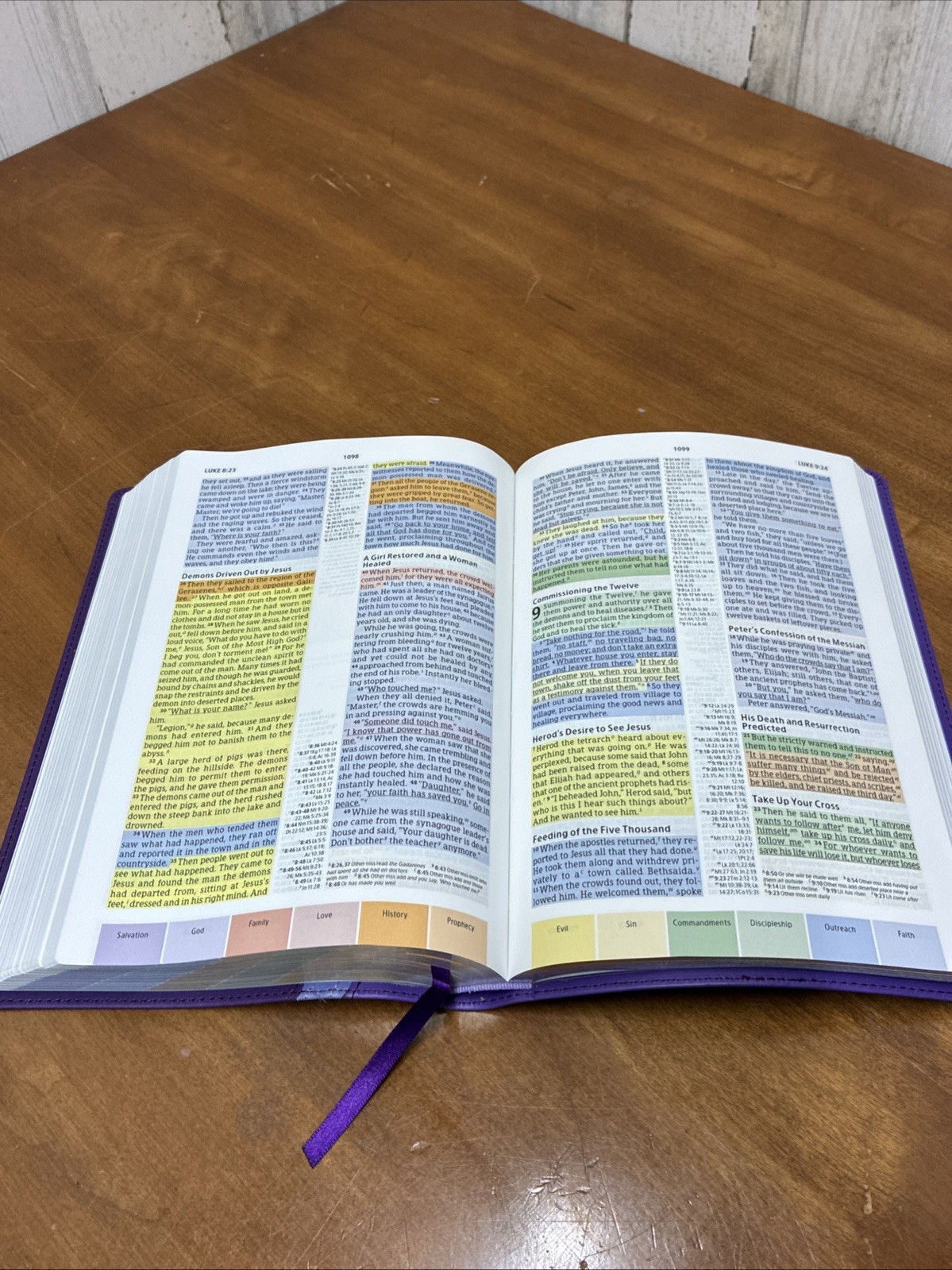 CSB Rainbow Study Bible, Purple Leather Touch, Holman Christian Standard Bible