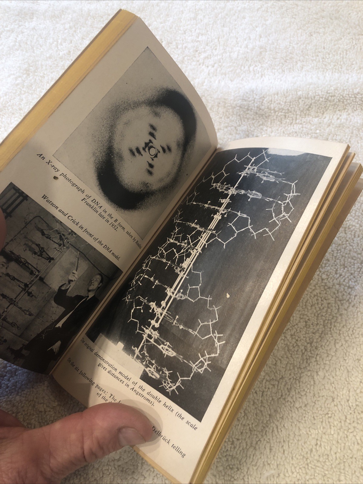 The Double Helix by Watson, James D. (1969) Paperback• Illustrated