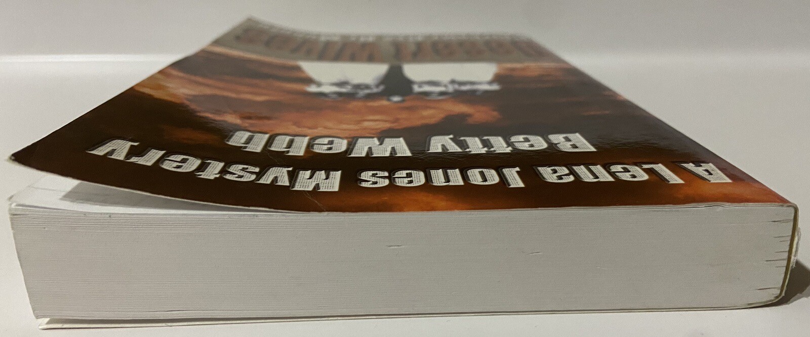 Desert Wives : Polygamy Can Be Murder by Betty Webb (2006 SIGNED 1st Paperback)