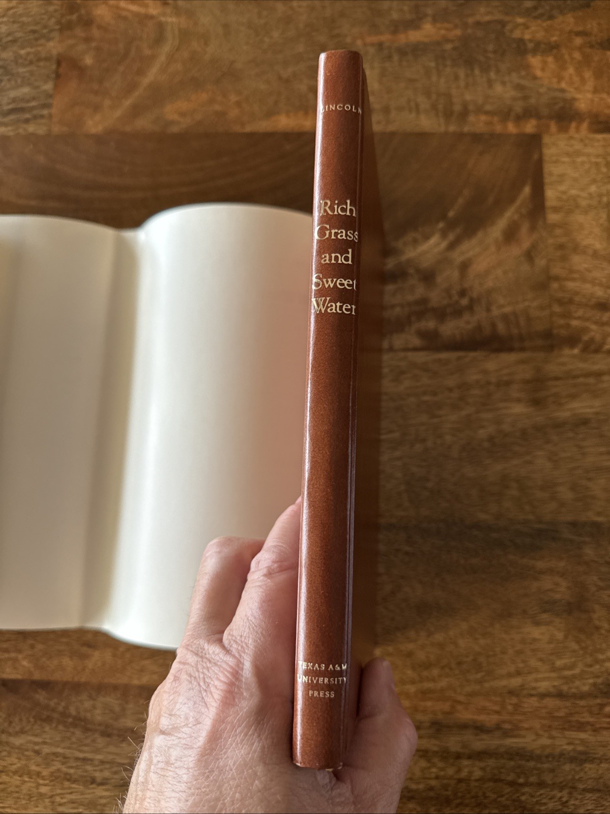 Rich Grass and Sweet Water – John Lincoln (1989, 1E, HB+DC)