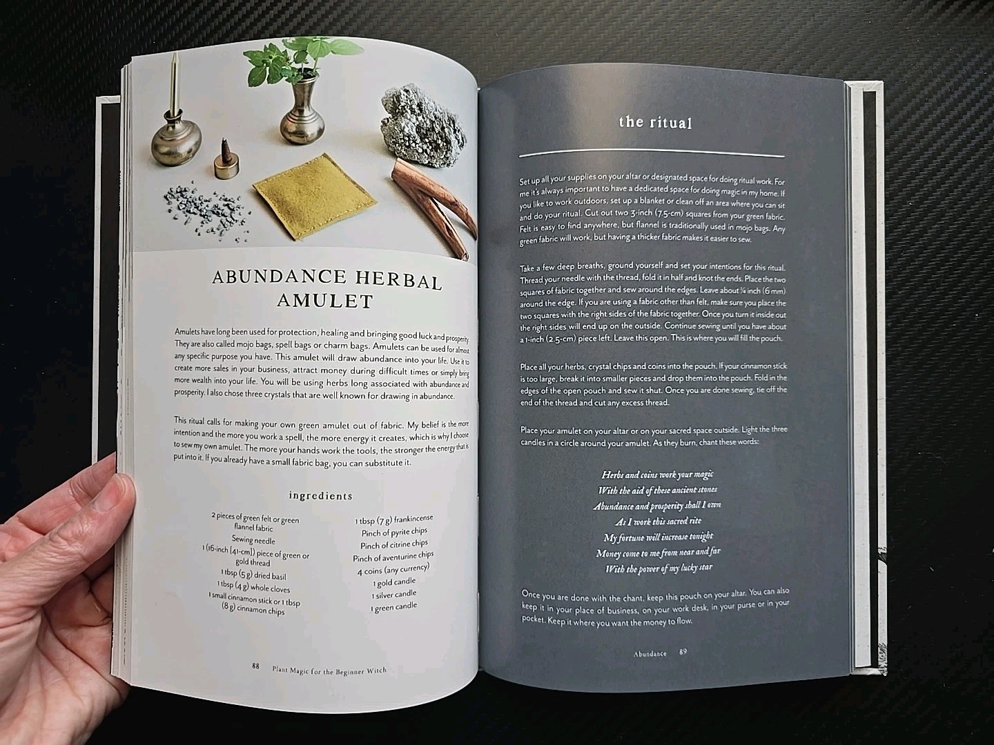 Plant Magic for the Beginner Witch : An Herbalistæs Guide to Heal, Protect an…