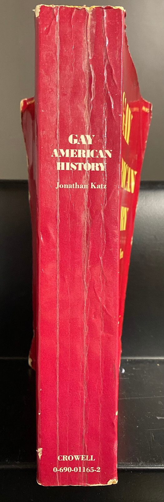 Gay American History – Lesbians and Gay Men in the U.S.A. – Jonathan Katz