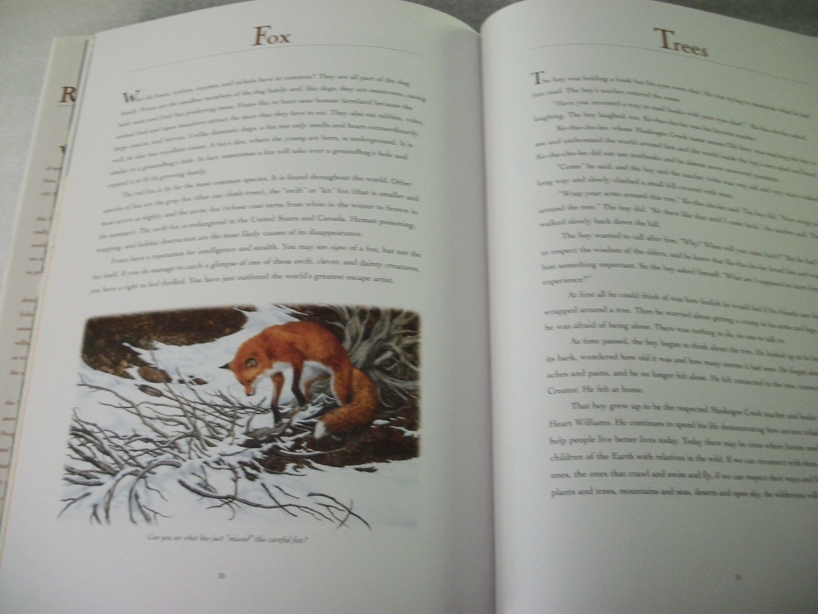 Bev Doolittle Book – Reading the Wild by Elise Maclay – First Edition – SIGNED