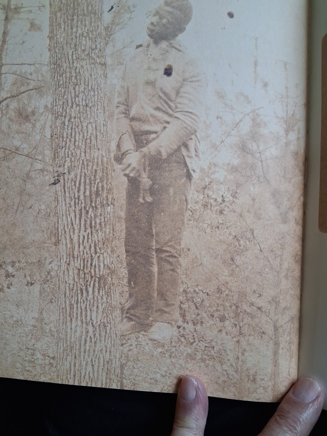 Without Sanctuary: Lynching Photography In America by James Allen, (2003). ÷