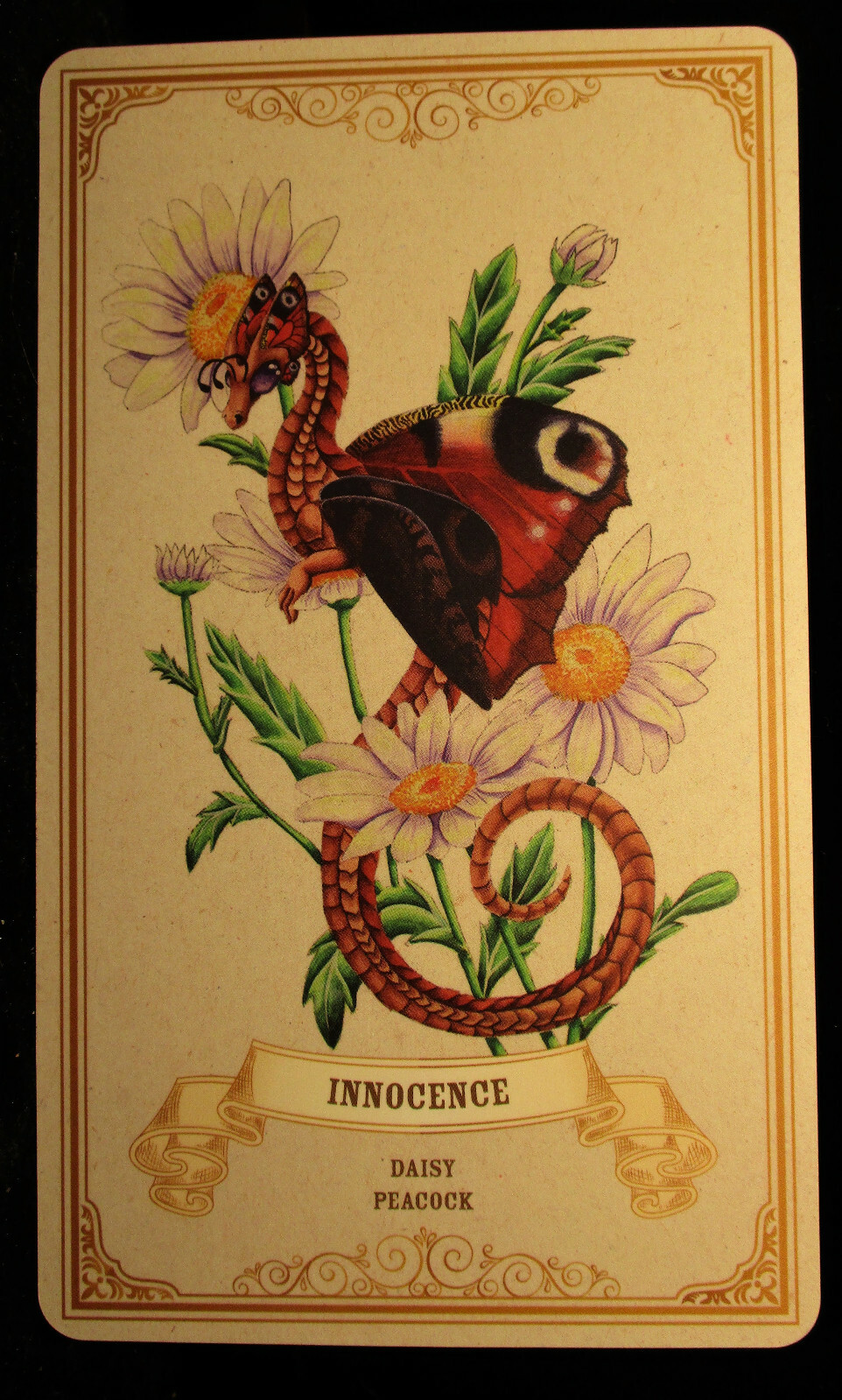 SEALED NEW ~ ENCHANTED BLOSSOMS CARDS & BOOK ORACLE DRAGONS BUTTERFLIES FLOWERS