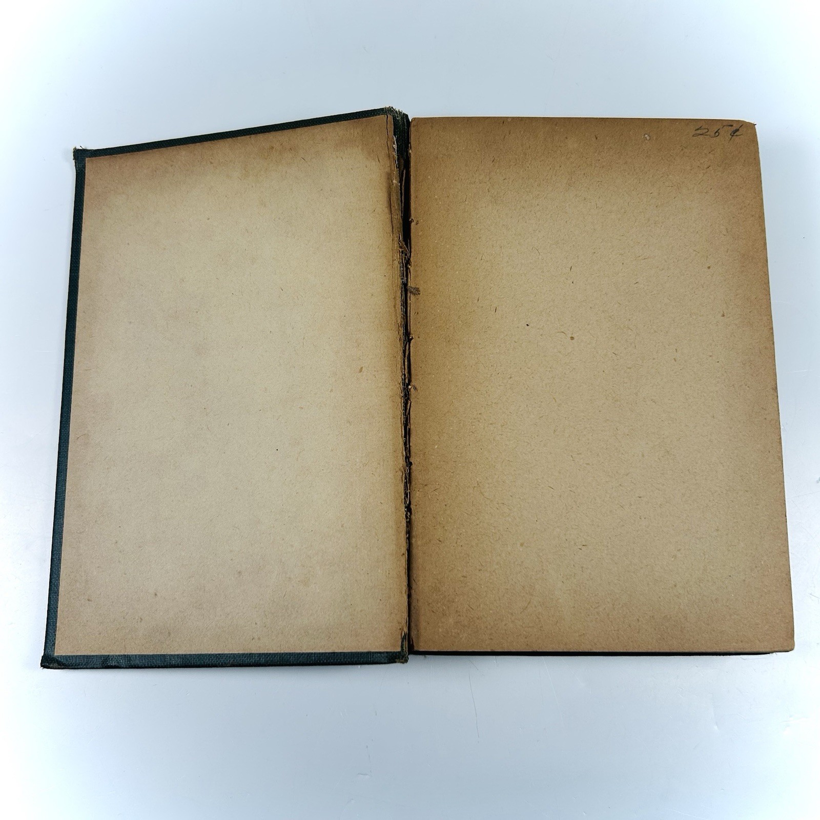 Boy Scouts On Open Plains The Round-up Not Ordered Book G. Harvey Ralphson 1914