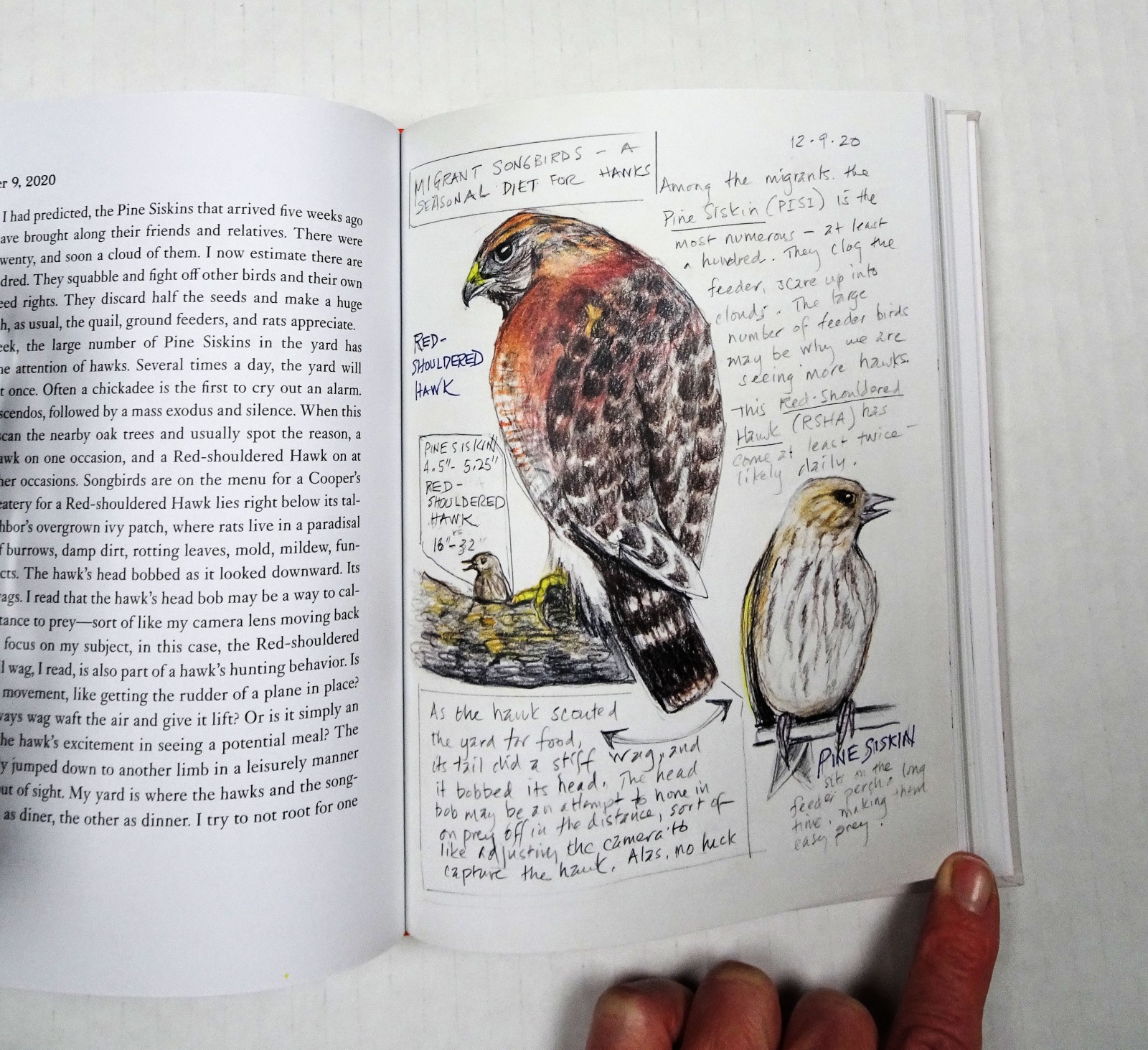 The Backyard Bird Chronicles Book Amy Tan Flexibound Dust Jacket Illustrated New
