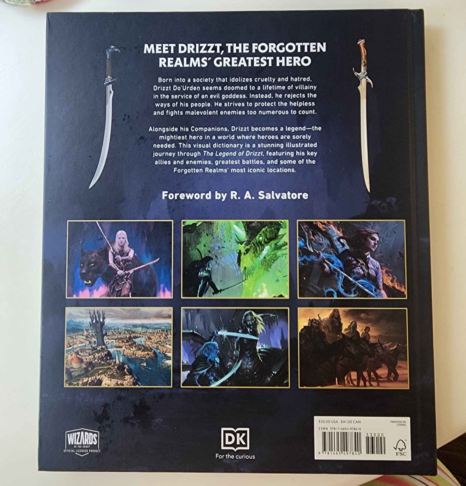 DK Dungeons & Dragons Legend of Drizzt Visual Dictionary Hardcover Witwer