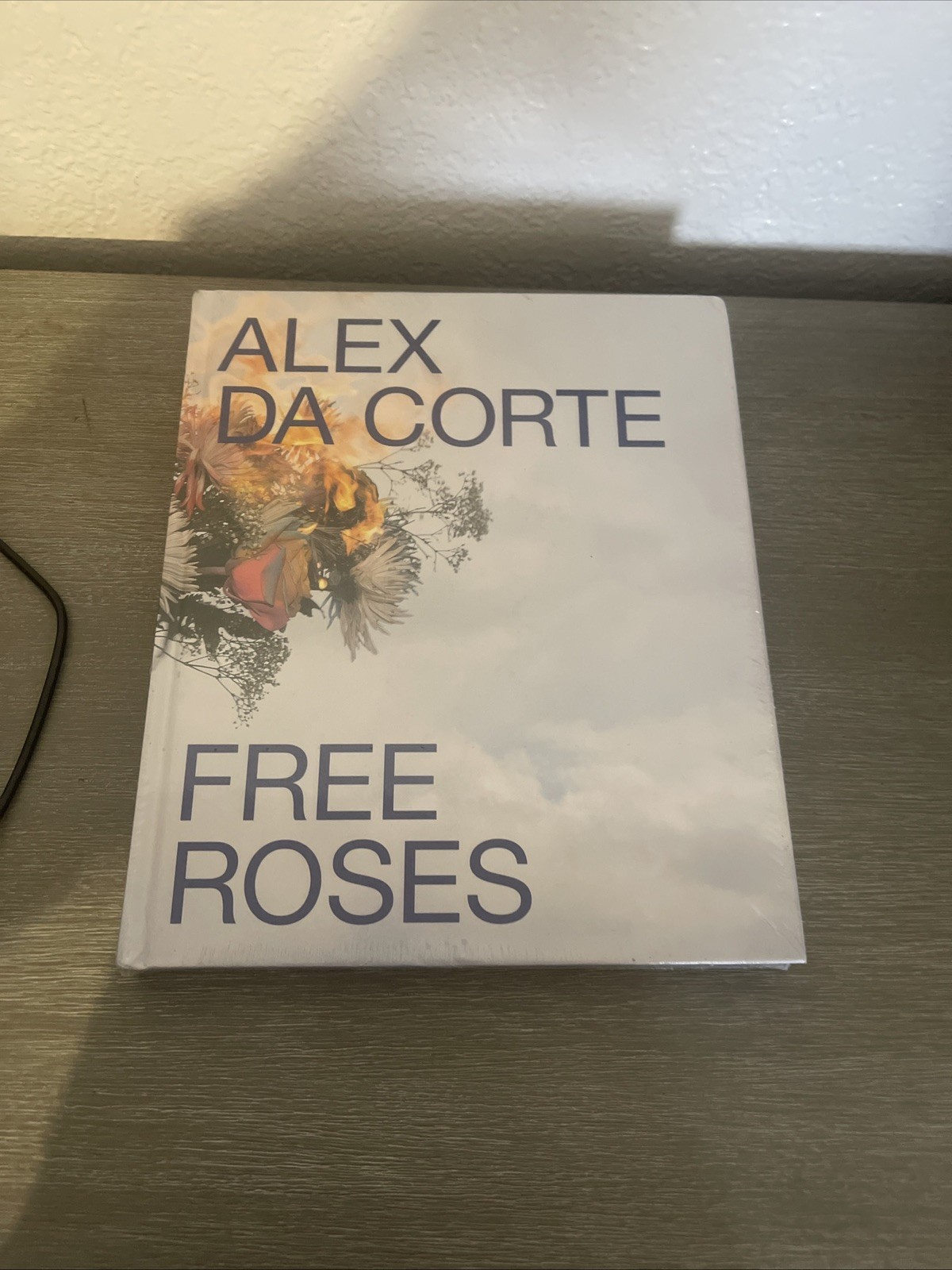 Alex Da Corte Free Roses Prestel 2016 HC MASS MoCA Art Book VG Contemporary