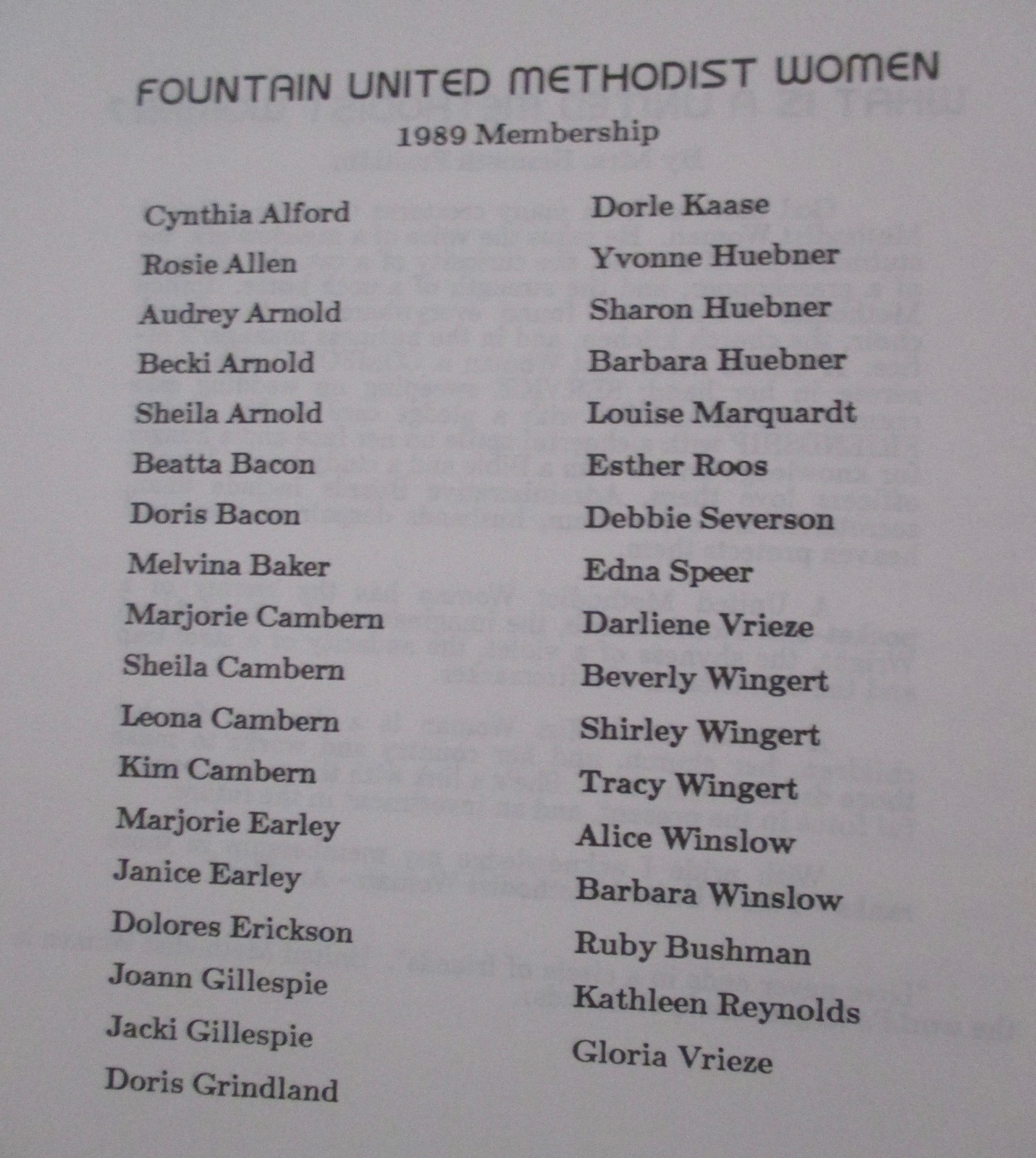 1989 Fountain, MN Minnesota vintage United Methodist Church Cookbook cook book