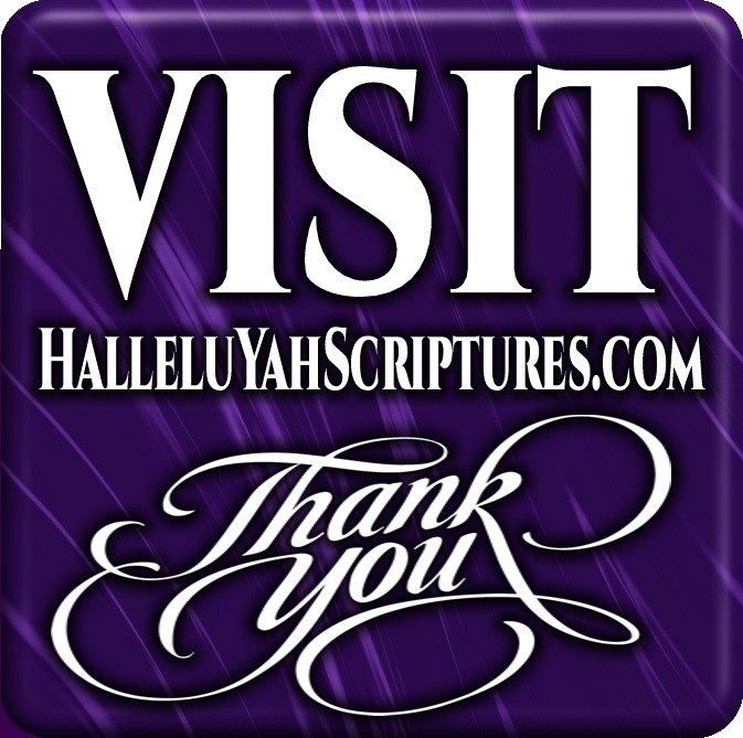 HALLELUYAH SCRIPTURES STANDARD BILE With Free Book & Free Shipping