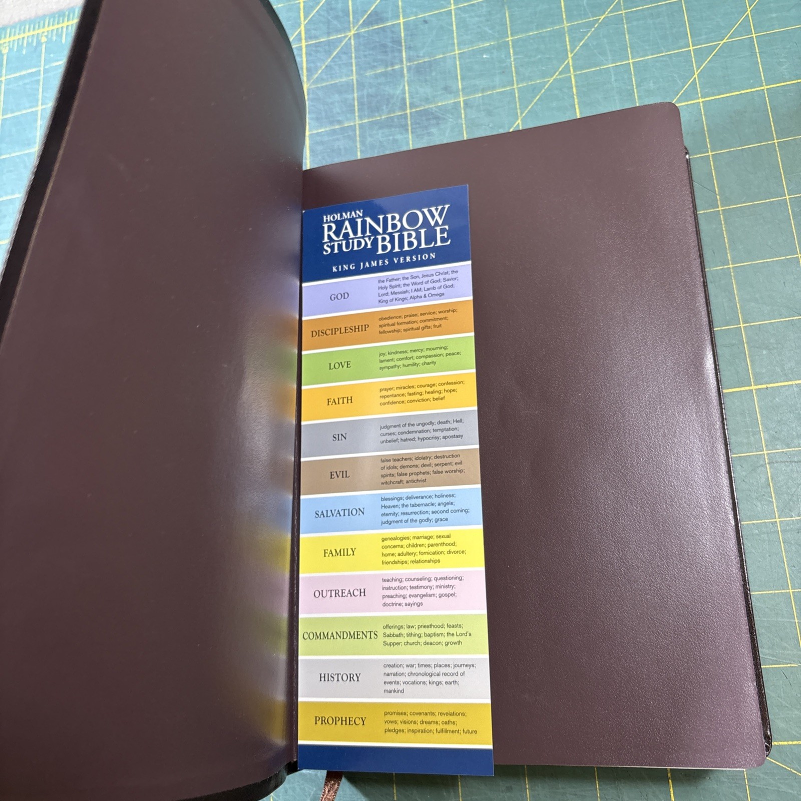 KJV 2013 Rainbow Study Bible Brown Bonded Leather