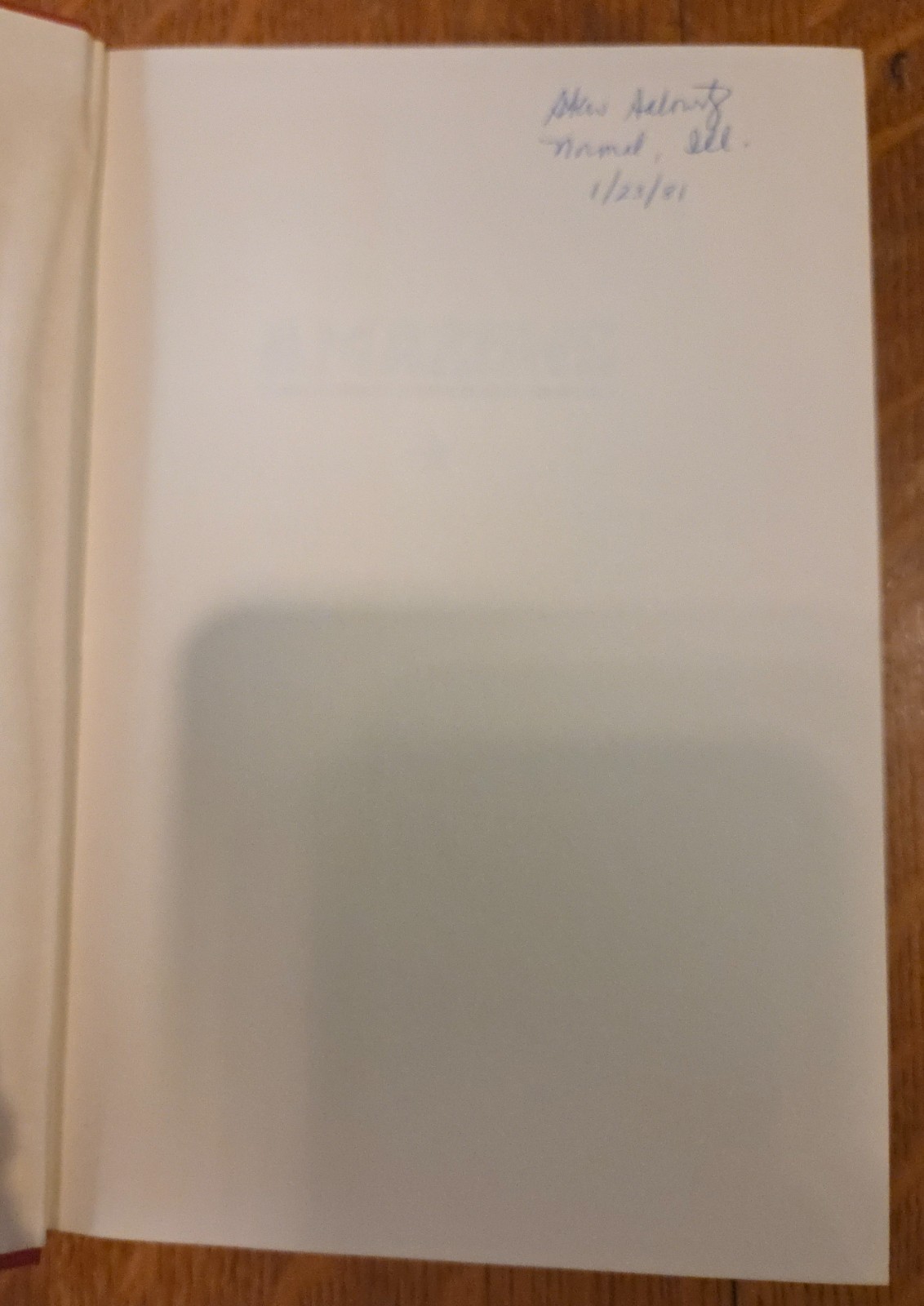 Amazons by Cleo Birdwell (Don DeLillo) 1980 Hardcover Edition + Review, US story