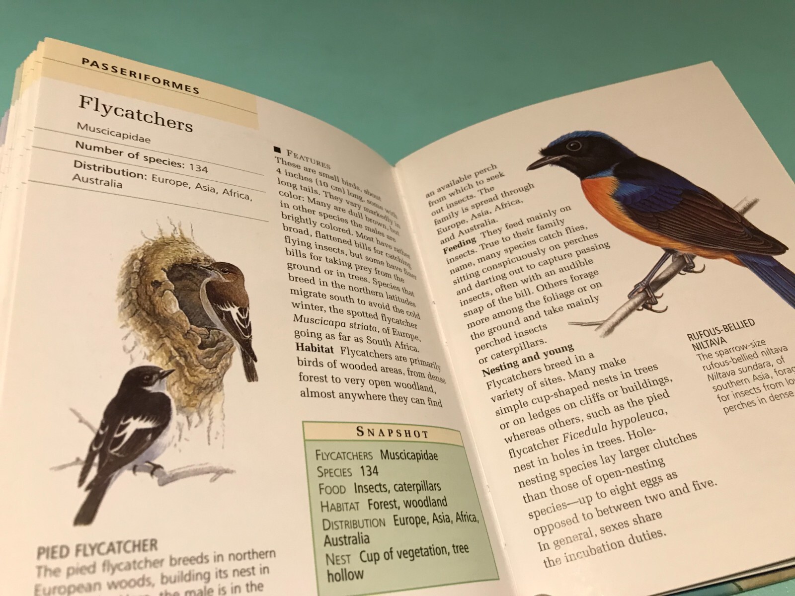 Home Reference Library Birds Consultant Editor Joseph M. Forshaw