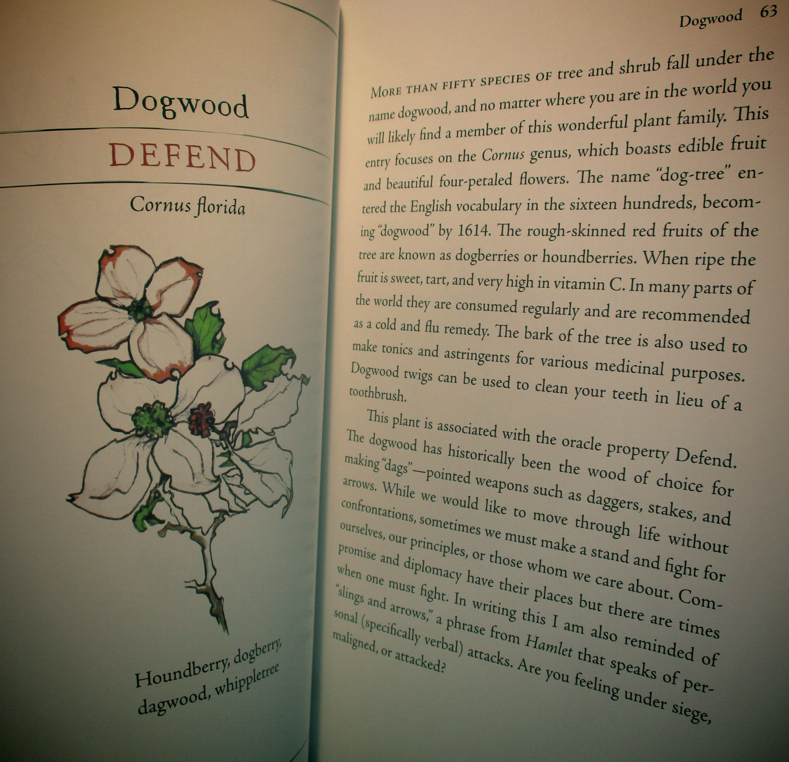 SEALED BRAND NEW! HEDGEWITCH BOTANICAL ORACLE CARDS & BOOK FLOWERS & HERBS