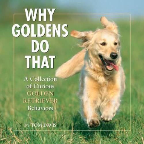 Why Goldens Do That: A Collection of Curious Golden Retriever Behaviors – GOOD