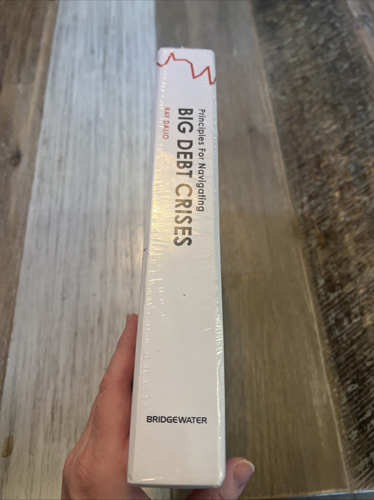 Big Debt Crises by Ray. Dalio (2018, Quantity Pack)