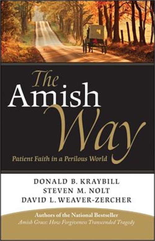 The Amish Way: Patient Faith in a Perilous World (Paperback or Softback)