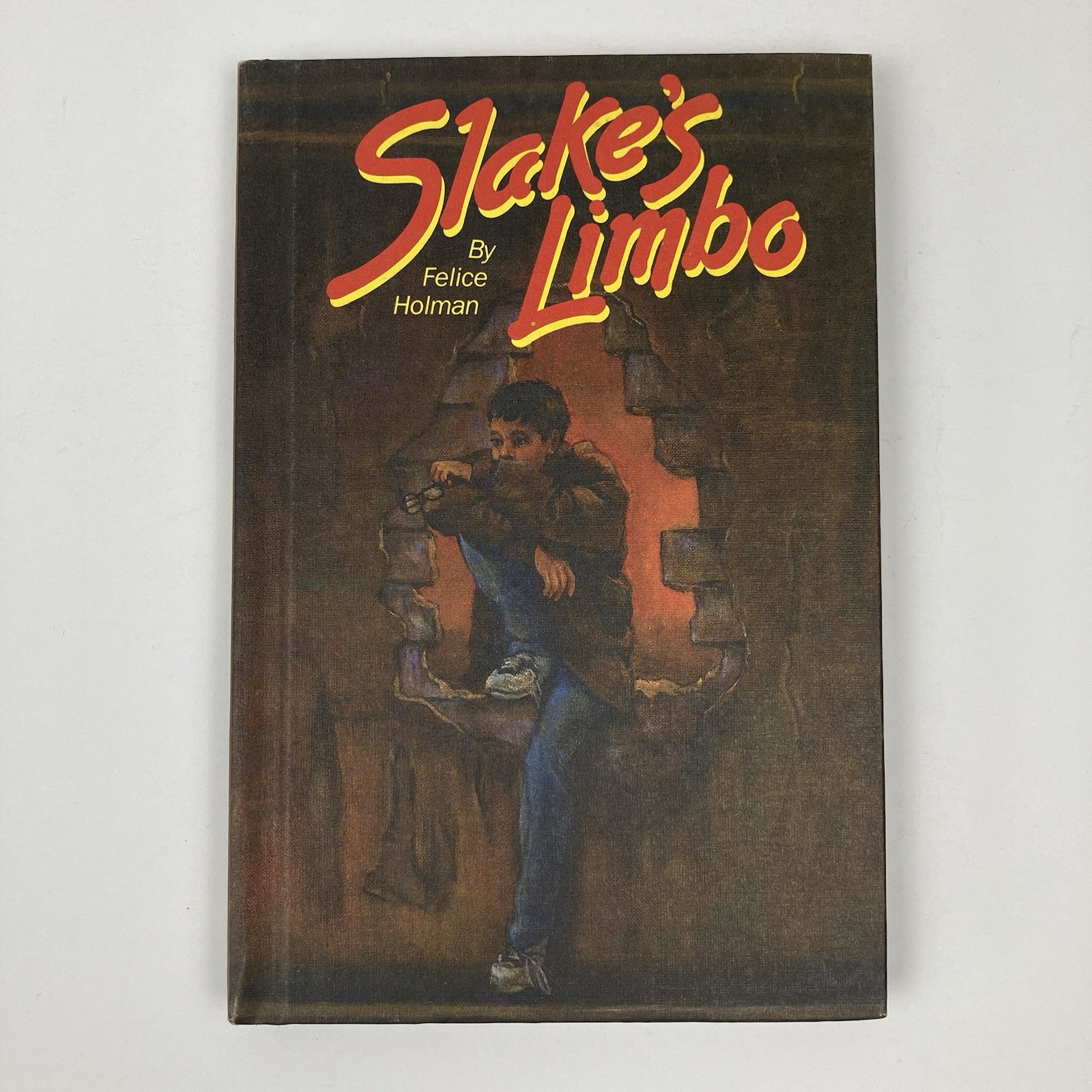 VTG “Slake’s Limbo” By Felice Holman / Hardcover / 1974 / First Edition