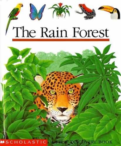 The Rain Forest – Spiral-bound, by Mettler Rene – Very Good