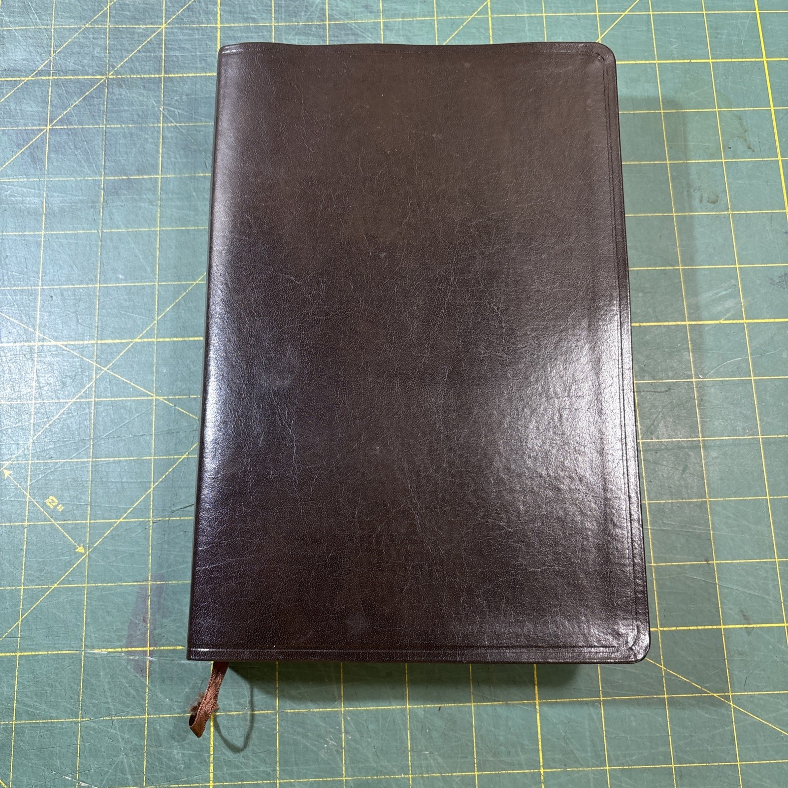 KJV 2013 Rainbow Study Bible Brown Bonded Leather