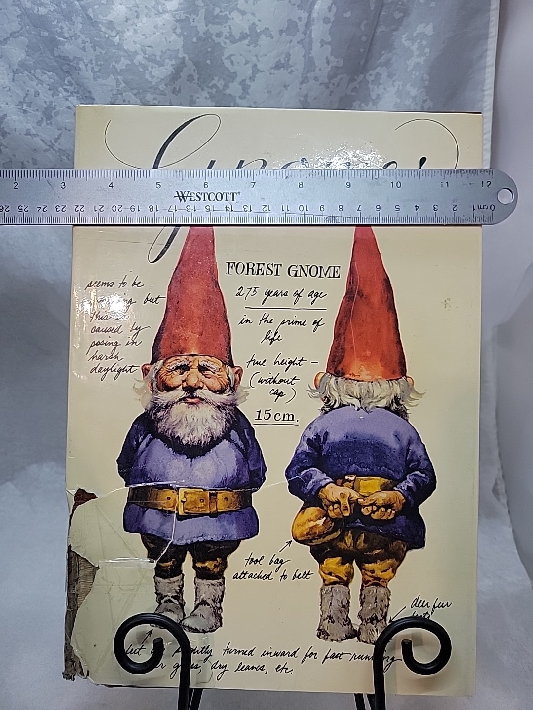 Junk Journalers Dream Gnomes Book 212 Pages Of Color Illustrations Pre-owned