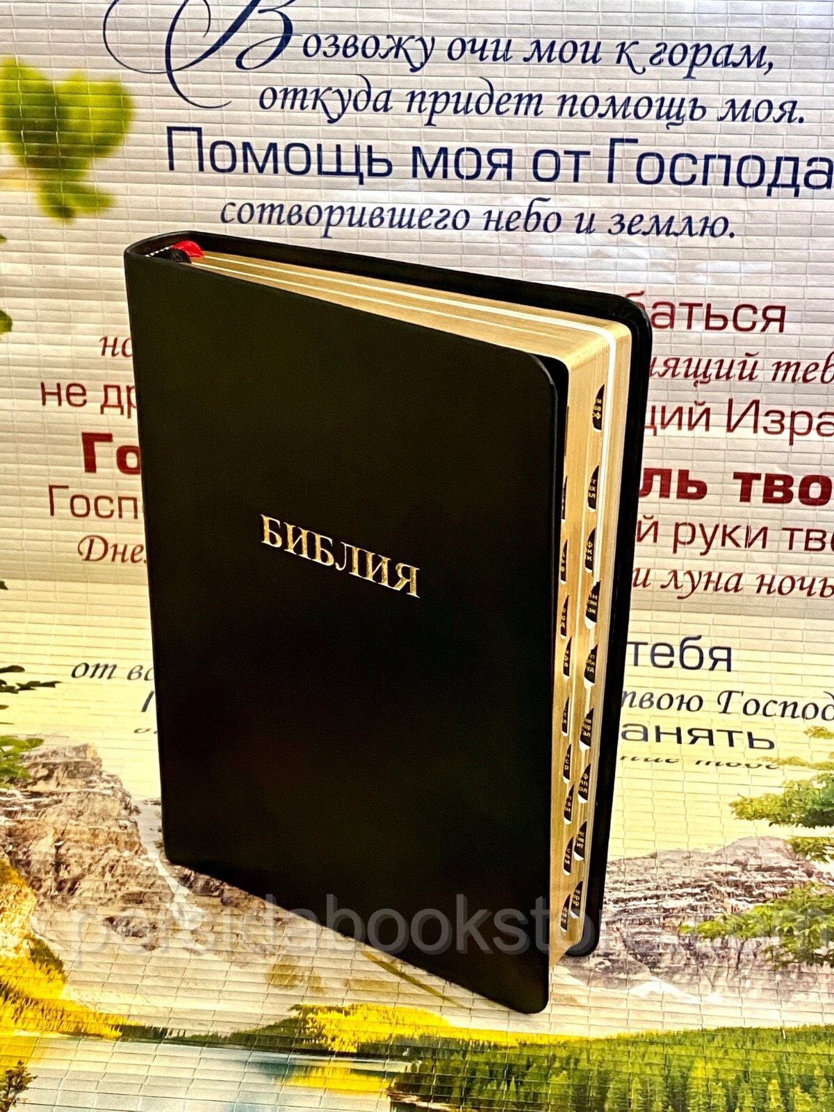 Russian Bible Index Leather Medium Size Русская Библия Индексы