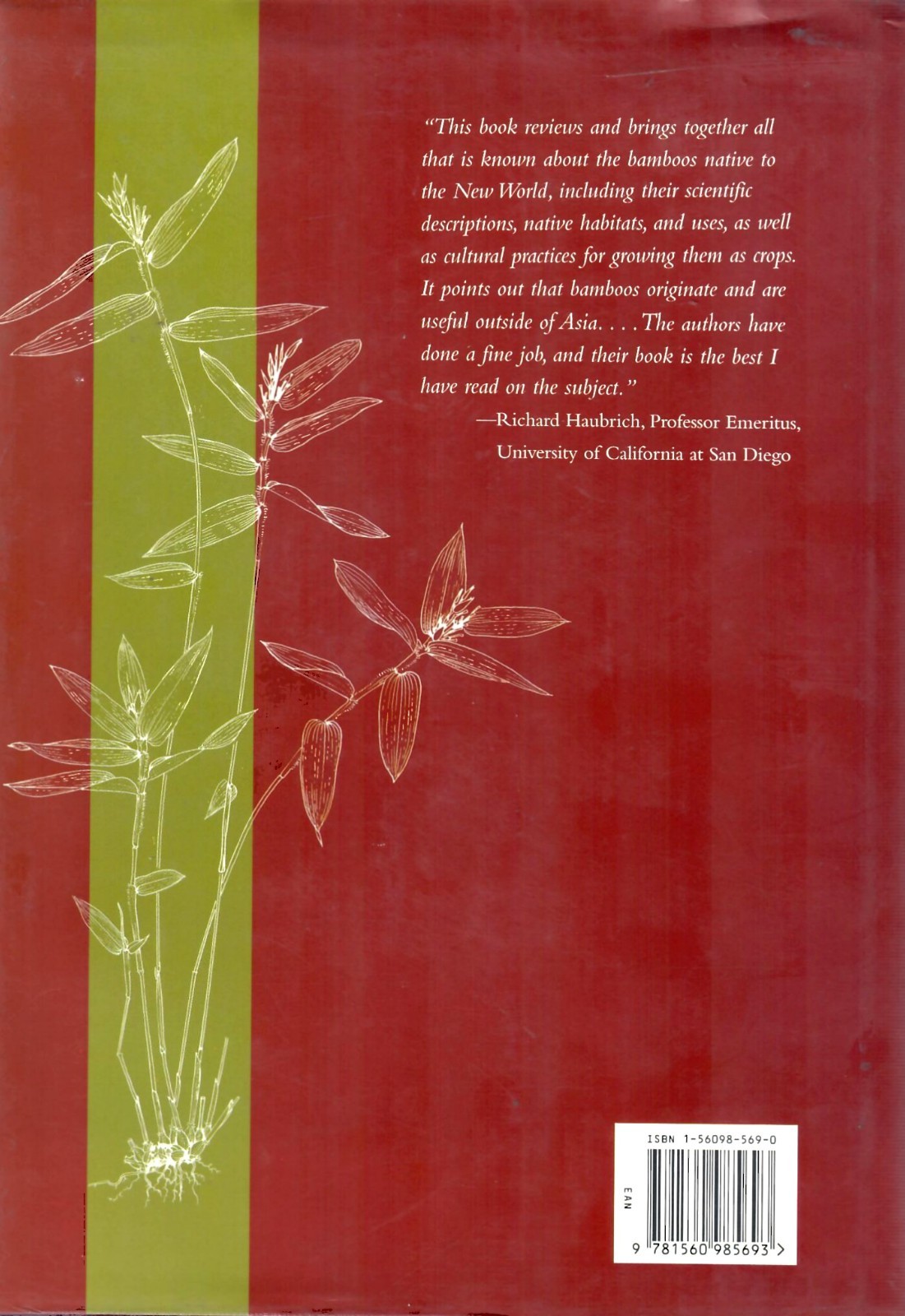 American Bamboos
